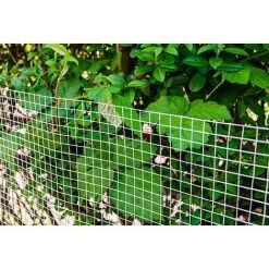 NIEDERBERG METALL Grillage Pour Plantes Et Animaux | Grillages Pour Enceintes Et Clôtures | Idéal Pour Le Jardin Volières Poulaillers Clapiers Etc | Longueur De Rouleau: 25 M | Hauteur 100 Cm | Mailles 19x19mm | Zingué 9 NIEDERBERG METALL Grillage Pour Plantes Et Animaux | Grillages Pour Enceintes Et Clôtures | Idéal Pour Le Jardin Volières Poulaillers Clapiers Etc | Longueur De Rouleau: 25 M | Hauteur 100 Cm | Mailles 19x19mm | Zingué -Grillage et accessoire Soldes 10973932 5