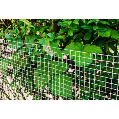 NIEDERBERG METALL Grillage Pour Plantes Et Animaux | Grillages Pour Enceintes Et Clôtures | Idéal Pour Le Jardin Volières Poulaillers Clapiers Etc | Longueur De Rouleau: 20 M | Hauteur 100 Cm | Mailles 12x12mm | Zingué -Grillage et accessoire Soldes 10973933 5