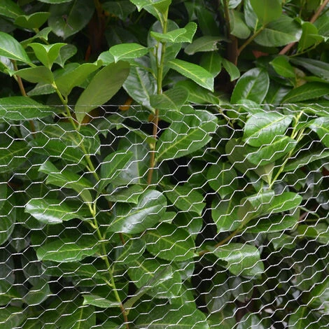 NIEDERBERG METALL Grillage Métallique Pour Cloture | Maillage Hexagonal : 25x25mm | Longueur 25m | Hauteur 100cm | Clôture Pour Animaux Et Plantes | Galvanisé 0.8mm 5 NIEDERBERG METALL Grillage Métallique Pour Cloture | Maillage Hexagonal : 25x25mm | Longueur 25m | Hauteur 100cm | Clôture Pour Animaux Et Plantes | Galvanisé 0.8mm – Image 5