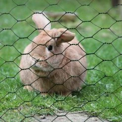 NIEDERBERG METALL Grillage à Mailles Hexagonales + Poteaux | Rouleau De 25m | Hauteur 0,5m | Maillage 13x13mm | Incl 20 Poteaux 80cm De Haut | Grillage Métallique Avec Revêtement En PVC Vert | Idéal Pour Animaux Et Plantes 9 NIEDERBERG METALL Grillage à Mailles Hexagonales + Poteaux | Rouleau De 25m | Hauteur 0,5m | Maillage 13x13mm | Incl 20 Poteaux 80cm De Haut | Grillage Métallique Avec Revêtement En PVC Vert | Idéal Pour Animaux Et Plantes -Grillage et accessoire Soldes 10974094 5