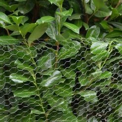 NIEDERBERG METALL Grillage Métallique Pour Cloture | Maillage Hexagonal : 25x25mm | Longueur 25m | Hauteur 100cm | Clôture Pour Animaux Et Plantes | Galvanisé 0.6mm -Grillage et accessoire Soldes 10977920 5