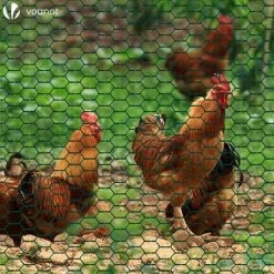 VOUNOT Grillage A Poule Avec Fils 13mm En PVC Gaine Vert 1x25M 7 VOUNOT Grillage A Poule Avec Fils 13mm En PVC Gaine Vert 1x25M -Grillage et accessoire Soldes 14938839 3