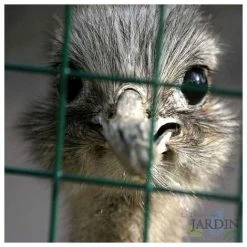 SUINGA Maille Métallique Verte, Carré De 13 Mm. 5 SUINGA Maille Métallique Verte, Carré De 13 Mm. -Grillage et accessoire Soldes 27212527 3