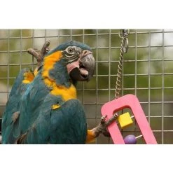 AQUAGART 30 M X 1 M Grillage Pour Volière, Grille Métallique, Grillage Soudé, Clôture En Fil De Fer, Galvanisé à Chaud -Grillage et accessoire Soldes 29730605 3