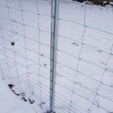 AQUAGART 5 Poteaux De Clôture à Profil En Z 1,80 M Clôture De Protection Contre La Faune Sauvage, Clôture De Pâturage, Clôture Forestière 5 AQUAGART 5 Poteaux De Clôture à Profil En Z 1,80 M Clôture De Protection Contre La Faune Sauvage, Clôture De Pâturage, Clôture Forestière – Image 5