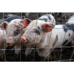 AQUAGART 50 M Clôture De Protection Contre La Faune Sauvage, Clôture Forestière, Clôture De Pâturage, Clôture En Fil De Fer, Grillage Noué 160/15/15 -Grillage et accessoire Soldes 29737916 5