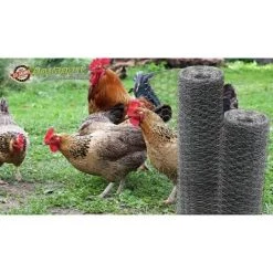 AQUAGART 60 M Grillage à Maille Hexagonale, Grillage De Poulailler, Grillage Pour Enclos à Lapins 50 Cm -Grillage et accessoire Soldes 29741232 3