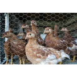 Grillage et accessoire Soldes -Grillage et accessoire Soldes 29741244 2