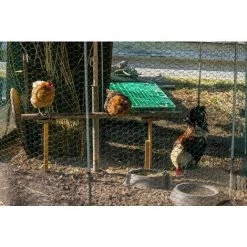 AQUAGART 100 M Grillage à Maille Hexagonale, Grillage De Poulailler, Grillage De Clôture Pour Lapins, Grillage De Clôture Pour Lièvres, Vert, Grillage Pour Clapiers à Lapins 50 Cm -Grillage et accessoire Soldes 29741441 5