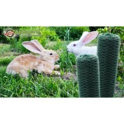 AQUAGART 120 M Grillage à Maille Hexagonale, Grillage De Poulailler, Grillage De Clôture Pour Lapins, Grillage De Clôture Pour Lièvres, Vert, Grillage Pour Clapiers à Lapins 50 Cm -Grillage et accessoire Soldes 29741444 4