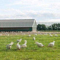 Amagabeli 1.22M X 25M Carré Grillage Résidentiel Vert Grillage De Clôture Fil Maillage 50 X 100mm Maille Clôture De Jardin Métallique Grillage Jardin Bordure De Jardin Pelouse Clôture - Taille 50*100MM 1*25M 7 Amagabeli 1.22M X 25M Carré Grillage Résidentiel Vert Grillage De Clôture Fil Maillage 50 X 100mm Maille Clôture De Jardin Métallique Grillage Jardin Bordure De Jardin Pelouse Clôture - Taille 50*100MM 1*25M -Grillage et accessoire Soldes 30042677 3