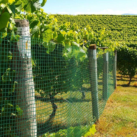 Filet De Volière | Maille : 12,7 Mm | HxL 50 Cm X 5 M | Vert | Certeo - Vert 2 Filet De Volière | Maille : 12,7 Mm | HxL 50 Cm X 5 M | Vert | Certeo - Vert – Image 2