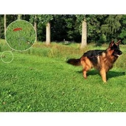 KSX Piquet D'attache Avec Poignée -Grillage et accessoire Soldes 36410288 4