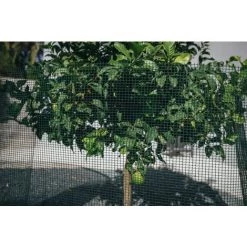 Centrale Brico Grillage Rouleau Hdpe Vert, H.0.5 X L.3 M -Grillage et accessoire Soldes 36530031 3