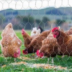 Grillage à Poule Grillage Pour Jardin Clôture En Métal Galvanisé Maille Hexagonal Cloture Pour Jardin Poulailler Barrière 35cm*4 M Fontainebleau Argent -Grillage et accessoire Soldes 45642523 4