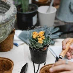 Treillis Métallique à Mailles, Grillage Galvanisé Petite Maille, Grillage à Poulet Galvanisé Hexagonal, Pour Bricolage Et Décoration De La Maison 0.35*1M Fontainebleau Argent 7 Treillis Métallique à Mailles, Grillage Galvanisé Petite Maille, Grillage à Poulet Galvanisé Hexagonal, Pour Bricolage Et Décoration De La Maison 0.35*1M Fontainebleau Argent -Grillage et accessoire Soldes 45644191 3