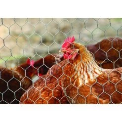 Centrale Brico Grillage Pour Animaux Triple Torsion Gris, H.1.5 X L.5 M, Maille H.13 X L.13 Mm