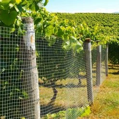 CASA PURA Fil Pour Volière - Clôture En Fil De Fer Galvanisé, 50 Cm X 5 M - Galvanisé -Grillage et accessoire Soldes 46917926 4