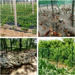 ASUPERMALL Clôture De Jardin Enduite De Vinyle, Tissu, Clôture De Volaille, Rouleaux Galvanisés, Rouleau De Clôture De Clôture De Jardin, 118 X 20 Pouces, Vert -Grillage et accessoire Soldes 49932685 4