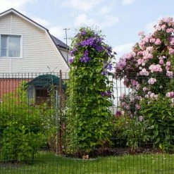 PawHut Grillage Rouleau Soudé - Grillage à Poule - Maille 5L X 10H Cm - Hauteur 1,22 M - Longueur 10 M - Acier Revêtement PVC Vert -Grillage et accessoire Soldes 51254847 4