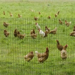 PawHut Grillage Rouleau Soudé - Grillage à Poule - Maille 5L X 10H Cm - Hauteur 1,22 M - Longueur 10 M - Acier Revêtement PVC Vert -Grillage et accessoire Soldes 51254847 5