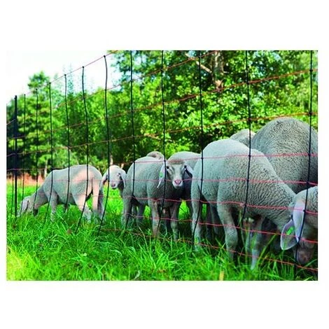 Maille _lectrifiable Kerbl Pour Mouton, 108 Cm X 50m 1 Maille _lectrifiable Kerbl Pour Mouton, 108 Cm X 50m