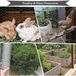 JOORRT Grillage à Poules Hexagonal Galvanisé - 7 M X 04 M - Pour Travaux Manuels Ou Décoration D'intérieur - Avec Pince Coupante Et Gants -Grillage et accessoire Soldes 59171100 4