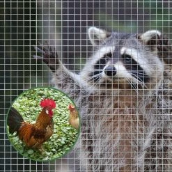 Grillage Métallique | Grillage Anti-rongeurs | Galvanisé | Largeur Des Mailles: 6,3 Mm | Certeo - Argent -Grillage et accessoire Soldes 60101959 4