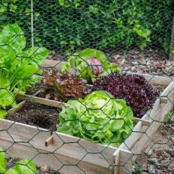 IDMARKET Grillage Pour Poules Vert 1x25M Maille 25mm Triple Torsion Clôture Souple Jardin Animaux -Grillage et accessoire Soldes 66095651 4