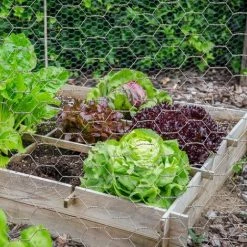 IDMARKET Grillage Pour Poules 1x25M Maille 13mm Triple Torsion Clôture Souple Jardin Animaux -Grillage et accessoire Soldes 66095786 4